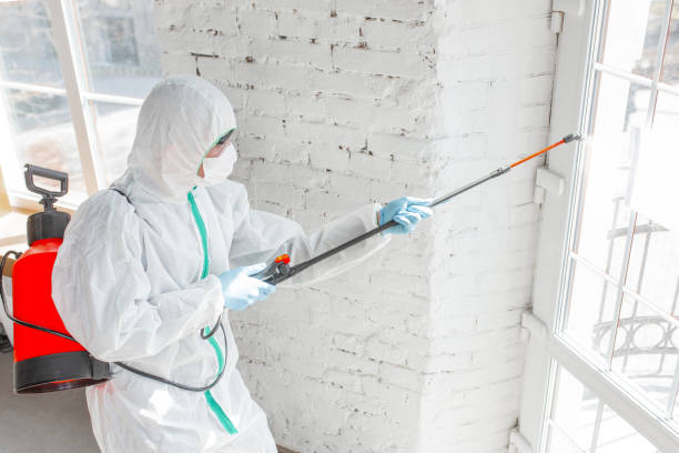 Asbestos and Lead Testing During Mold Inspection in Wilmington, NC