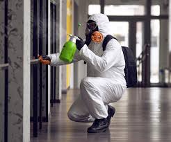 Mold Documentation for Insurance Claims in Wilmington, NC